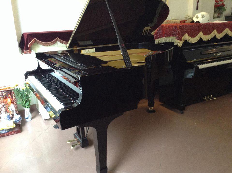 Yamaha C3B 